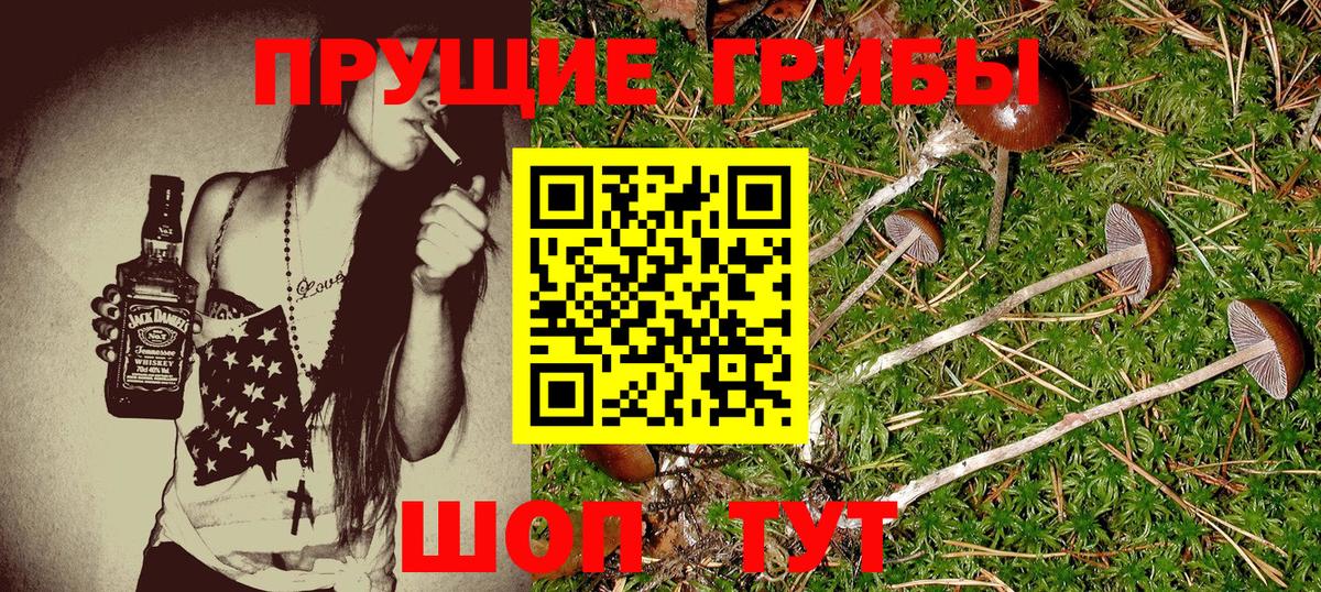 Железноводск  Галлюциногенные грибы MAGIC MUSHROOMS  Вход с VPN  Псилоцибиновые грибы ЛСД 